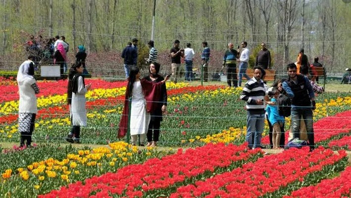 Sunshine greets visitors as Tulip Garden thrown open in Srinagar